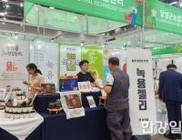 기사이미지